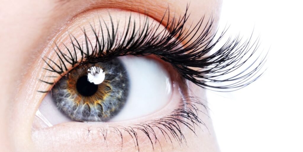 What-Are-The-Different-Types-of-False-Eyelashes21